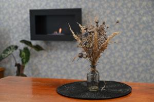 TV a/nebo společenská místnost v ubytování Apartmán