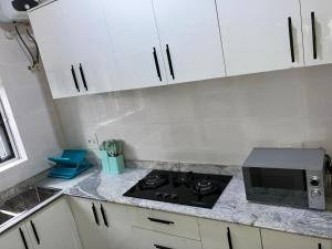 O bucătărie sau chicinetă la GL Apartments