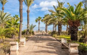 a path with palm trees and benches on the beach at Lovely Home In Cartagena With Kitchen in Cartagena +20 photos