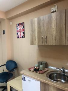 Apartment KARADAK的厨房或小厨房