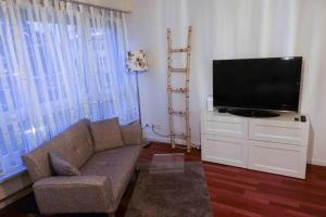 TV a/nebo společenská místnost v ubytování Cozy nest direkt bei Basel