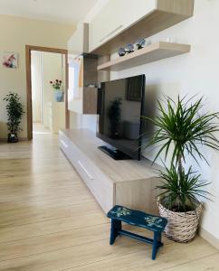 a living room with a flat screen tv and plants at La Baita in Vigo di Cadore