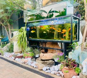 Giardino di 24 On Basil Boutique Luxury Hotel