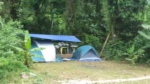 a blue and white tent in a field with trees at Camping Monte Hermom in Ubatuba