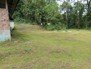 a yard with a fence and a field of grass at Camping Monte Hermom in Ubatuba +7 photos