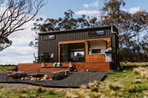 a tiny house sitting on top of a field at Wildnest Wilderness in Turondale