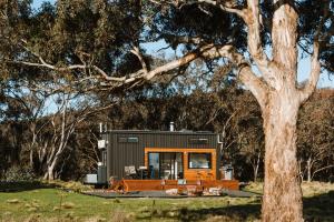 a tiny house sitting in a field next to a tree at Wildnest Wilderness in Turondale