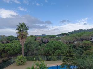 een palmboom en een zwembad in een bos bij Villa Galicia in Lloret de Mar