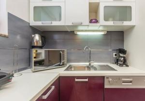 Kuchyňa alebo kuchynka v ubytovaní Apartments Ivni