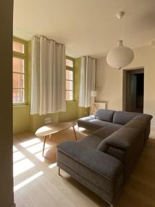 a living room with a couch and a table at Centre-ville historique in Grenoble