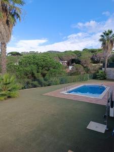 een zwembad in een tuin met palmbomen bij Villa Galicia in Lloret de Mar