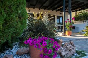 a garden with flowers and plants in a yard at Dasea Houses in Ormos Panagias