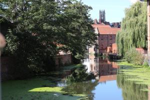 a river with algae on the water and a building at ChocoLets - The Foss Suite in York