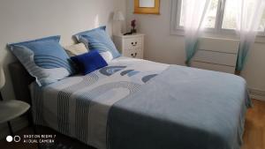 une chambre avec un lit avec des oreillers bleus dans l'établissement CHAMBRE CONFORTABLE,GARE,Climatisation,PARKING,WIFI,pt déjeuner compris, à Perpignan