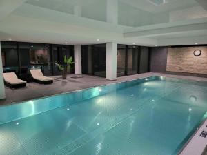 a large swimming pool in a building at Bergsee in Schluchsee