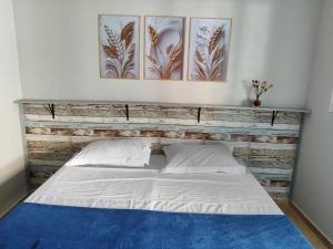 Billede fra billedgalleriet på Alpha Hospedaria & Hostel i Londrina