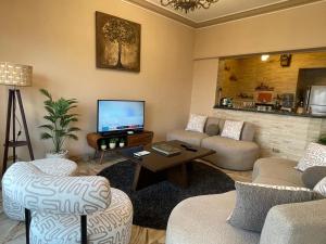 Posezení v ubytování Elite Nile view apartment + 19 fotografií