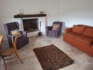a living room with a couch and chairs and a fireplace at Wild Rescue Nature Reserve in Riversdale