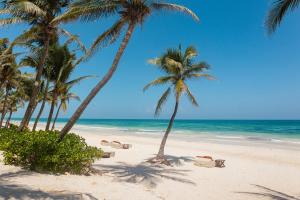 a sandy beach with palm trees and the ocean at The Beach Tulum Hotel in Tulum