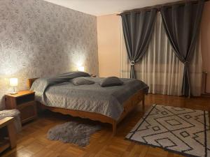 a bedroom with a bed and a rug at E'milu Residence in Ghimbav