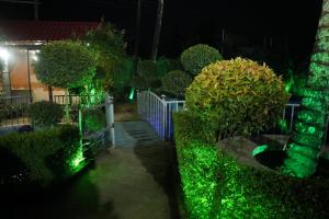 Zahrada ubytování secret paradise sylhet