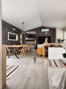 ein Wohnzimmer mit einem Hund in der Mitte des Zimmers in der Unterkunft Villa Rosi in Costa Paradiso