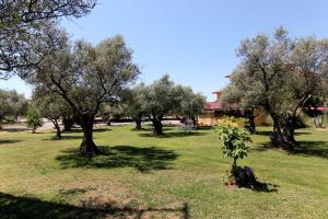 um grupo de árvores num campo com um edifício em Hotel Rural Hojaranzos em Tejeda de Tiétar