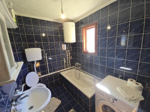 a blue tiled bathroom with a sink and a toilet at Rural Household Baltic in Mojkovac +35 photos