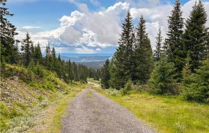 a dirt road in the middle of a forest at Cozy Apartment In Lillehammer With Wifi in Lillehammer +19 photos