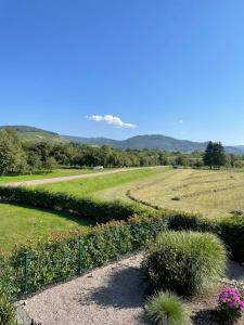 Φυσικό τοπίο κοντά σε αυτό το διαμέρισμα +13 φωτογραφίες