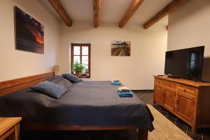 um quarto com uma cama grande e uma TV de tela plana em Clearpoint em Hořovičky