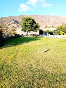 Billede fra billedgalleriet på Villa Andros, Beauty and Luxury - Private Pool i Ándros + 66 billeder