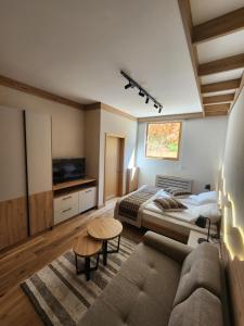 Apartment Vucko C030 Jahorina private host Aparthotel Vucko في ياهورينا: غرفة نوم مع أريكة وسرير وتلفزيون