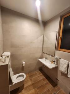 Apartment Vucko C030 Jahorina private host Aparthotel Vucko في ياهورينا: حمام مزود بمرحاض ومغسلة ومرآة