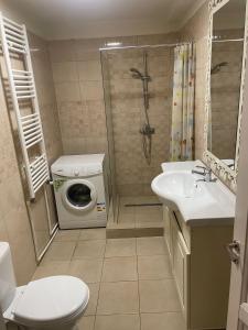 a bathroom with a washing machine and a sink at Strada calea unirii bloc 5 in Craiova