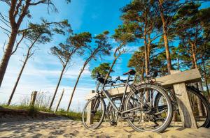 a bike parked next to a wooden bench at Strandhafer an der Seebrücke in Zingst