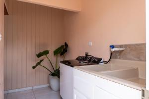 a kitchen with a stove and a sink and a plant at Villa Paz in San José