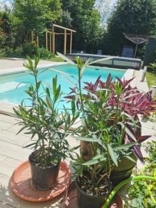 Bassein majutusasutuses Tallian Lodge või selle lähedal