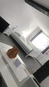una exposición de museo con un modelo de avión expuesto en Caraiman House, en Sighişoara