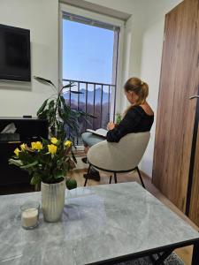 TV a/nebo společenská místnost v ubytování City apartment with moutain view - free parking