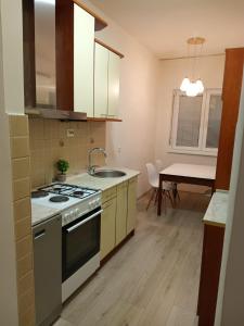 una cocina con fregadero y estufa horno superior en Premium Square Apartment, en Skopje