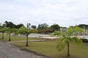 a row of palm trees in a park at Kitnet Flamingo Matinhos 31B in Matinhos