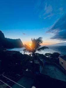 a palm tree in front of the ocean at sunset at Oásis de retour in Ponta do Sol