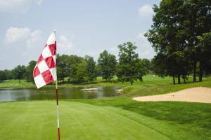 Gallery image of Club Wyndham Resort at Fairfield Glade in Fairfield Glade +45 photos