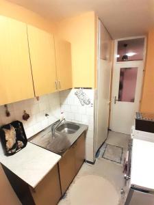 Una pequeña cocina con fregadero y refrigerador. en La Simba2, en Banja Luka
