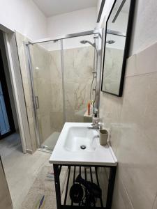 a bathroom with a sink and a shower at La Casetta in Trapani