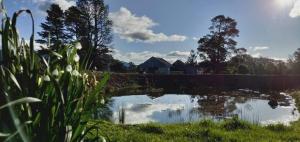 Paesaggio naturale nelle vicinanze della casa vacanze