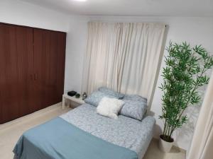 a bedroom with a blue bed and a plant at Your Tropical HouseRD in La Francia