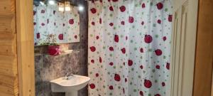 a bathroom with a sink and a shower curtain with apples at ALASA Hospedaje in Los Ángeles +101 photos