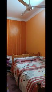 a bedroom with a bed and a ceiling fan at محافظه اسوان جزيره اسوان النجع البحرى in Aswan